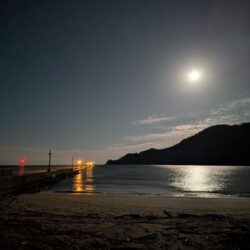 ガシラ自己記録更新